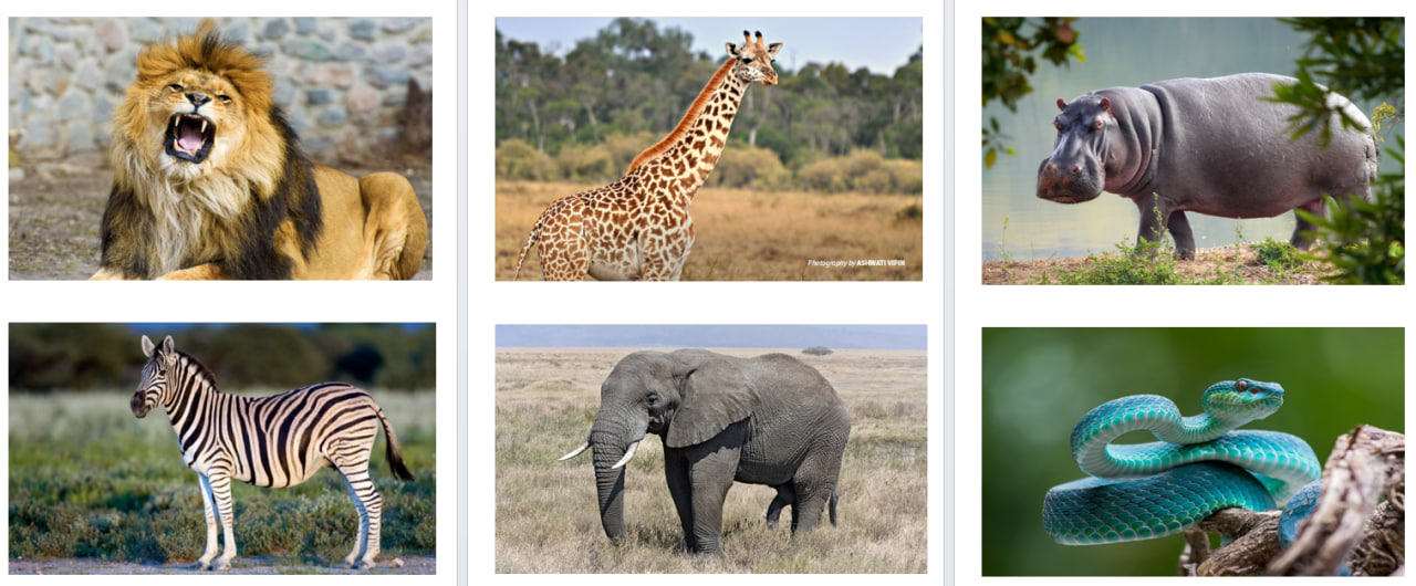 Розробки уроків на ІІ семестр для 2 класу - Зображення 7