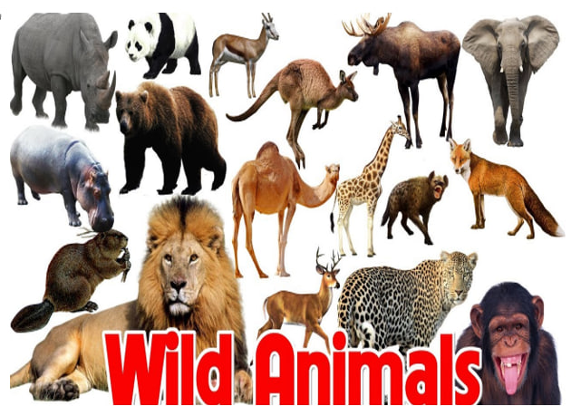 Розробки уроків на ІІ семестр для 2 класу - Зображення 6